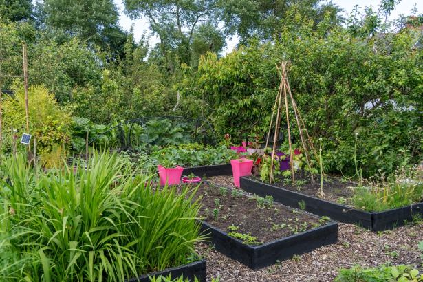 Begin je eigen moestuin