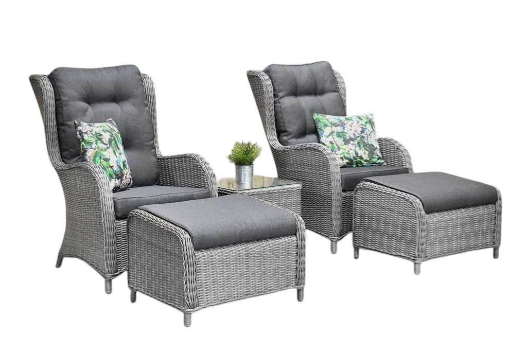 Phoenix Loungestoelenset - Natural Grey
