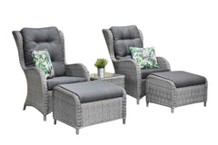 Phoenix Loungestoelenset - Natural Grey