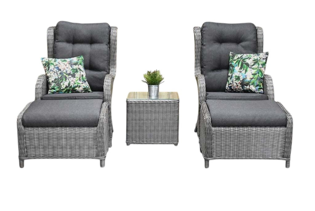 Phoenix Loungestoelenset - Natural Grey