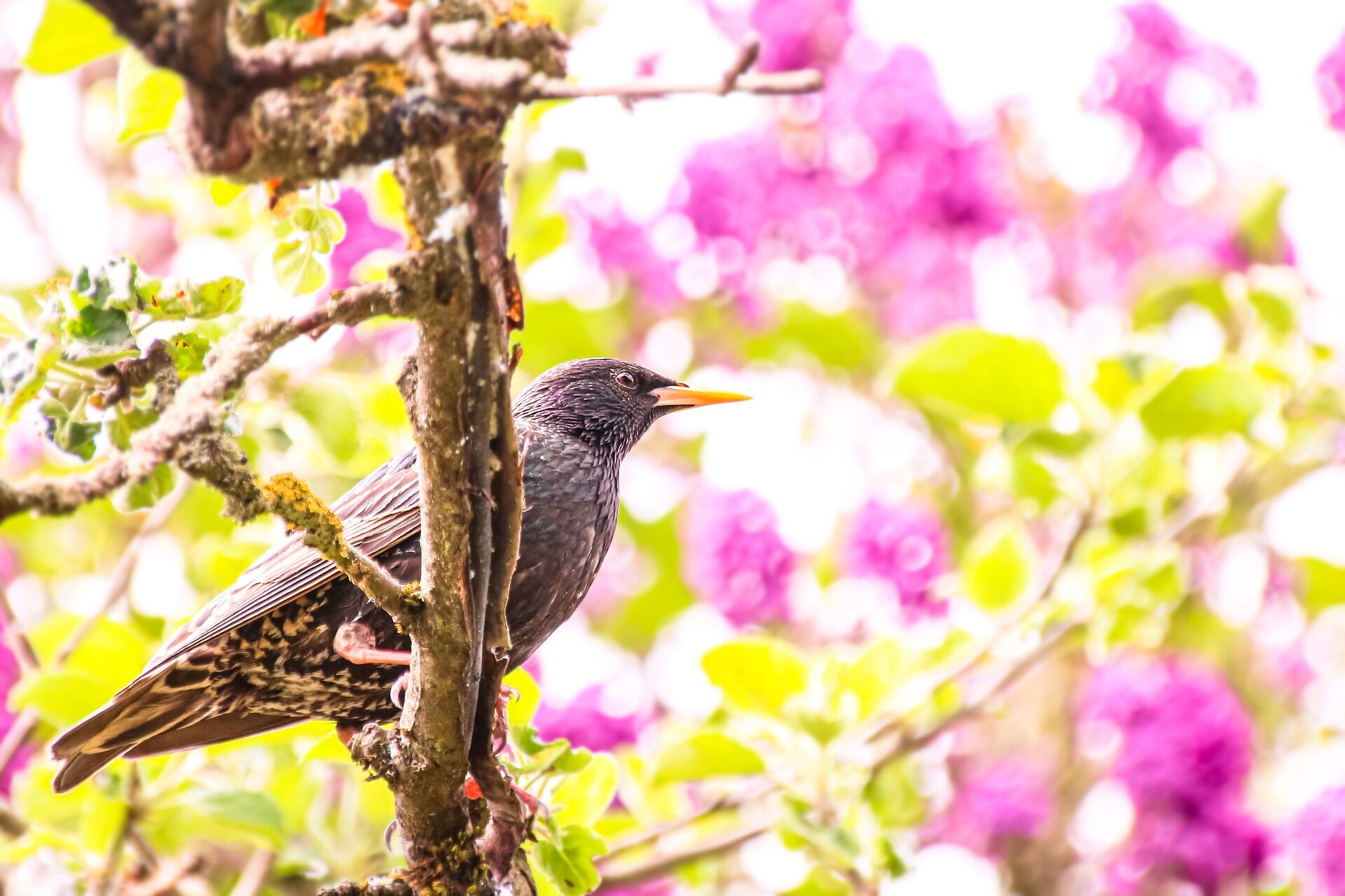  4 Tips voor duurzamere tuin