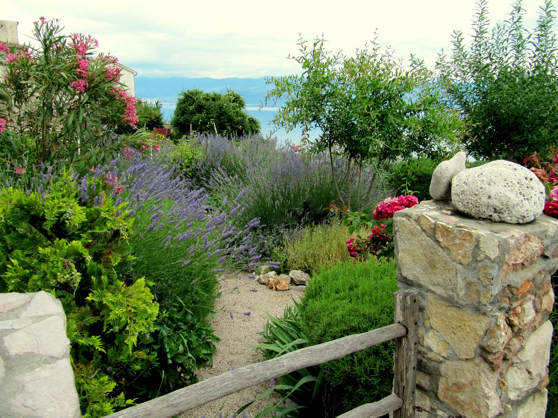 5 Tip om een mediterrane tuin creëren