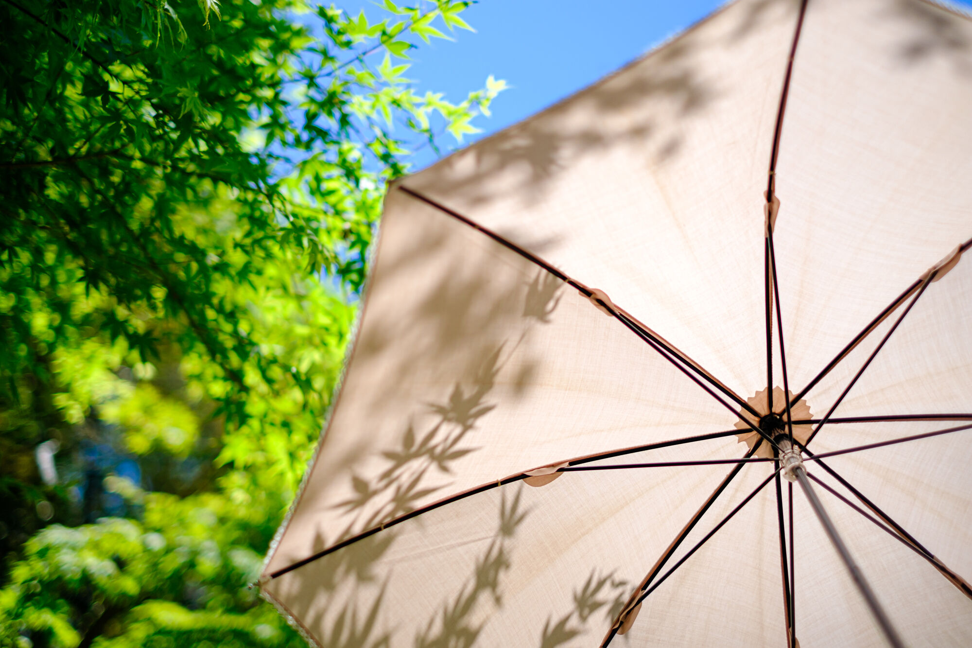 Hoe kies je de perfecte parasol voor jouw tuin?